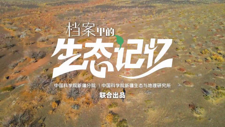 档案里的生态记忆